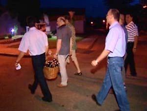 srebrni bor.(slika:ORF) srebrni bor.(slika:ORF)