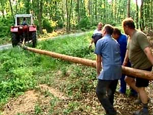 Pri loznom djelu. (slika:ORF) Pri loznom djelu. (slika:ORF)