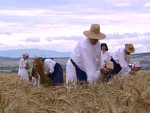 10 ljet Stokavci. (slika:ORF)