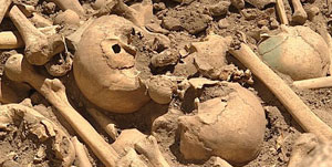 Košće pokojnih ljudi. (slika: ORF)