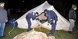 Asylcamp Räumung / Foto: APA/Polizei